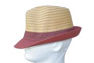 Mens Summer Trilby