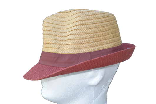 Mens Summer Trilby